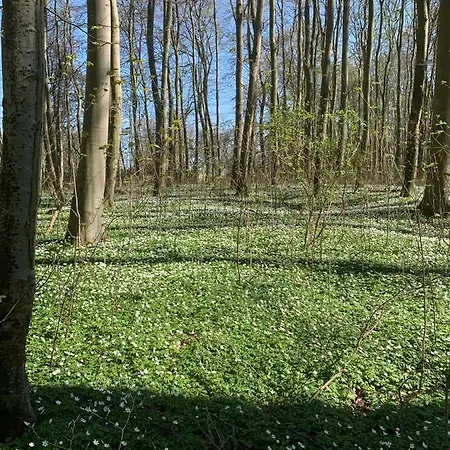 Apartamento Schloss Lelkendorf, Hoppenrade Lelkendorf