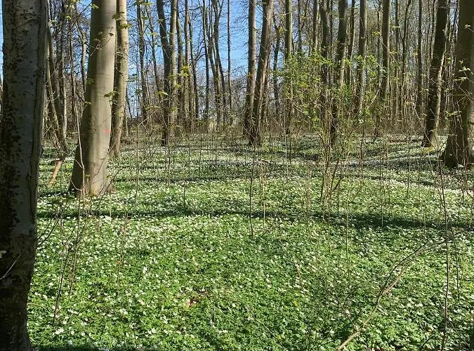 Апартаменты Schloss Lelkendorf, Hoppenrade Lelkendorf